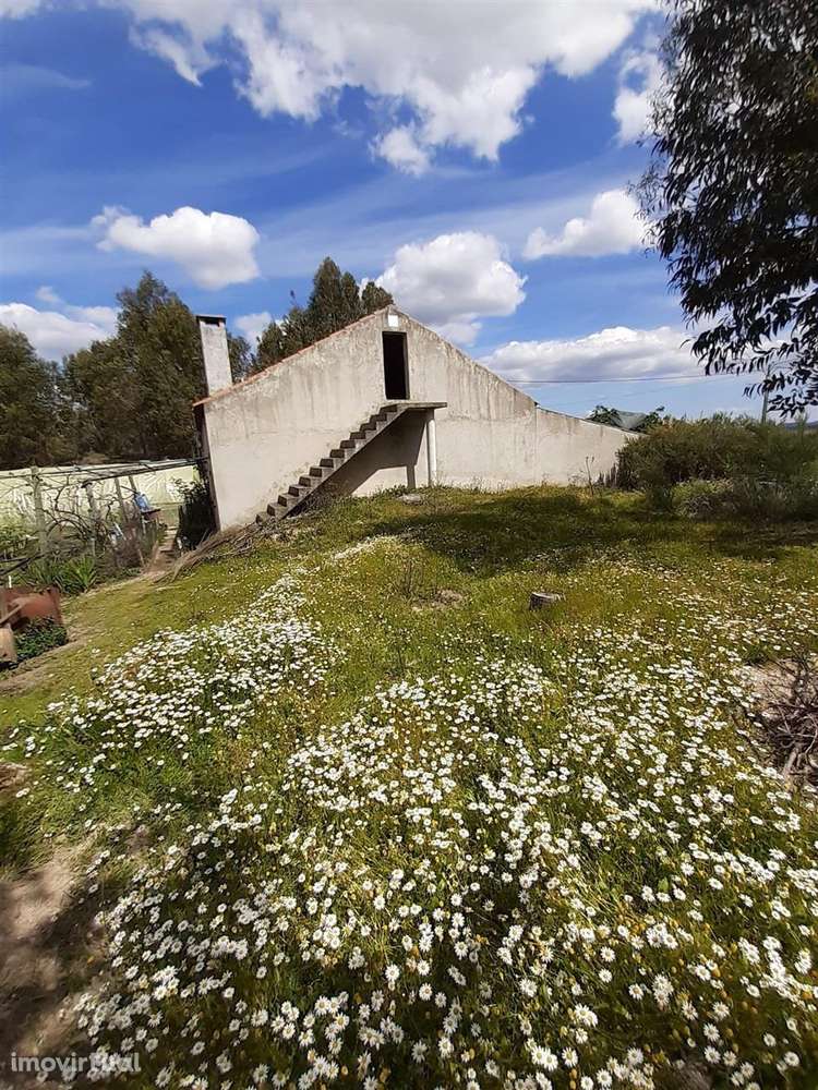 Quintinha - Grande imagem: 3/14