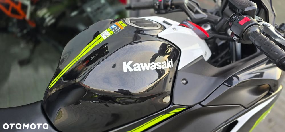 Kawasaki Ninja - 13