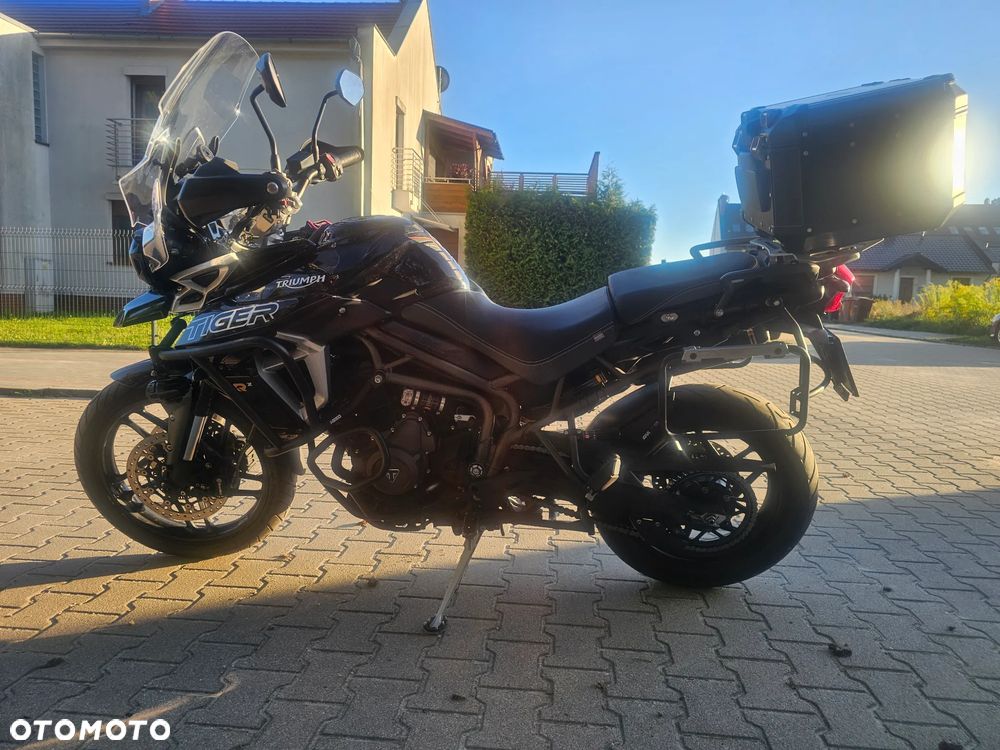 Triumph Tiger - 5