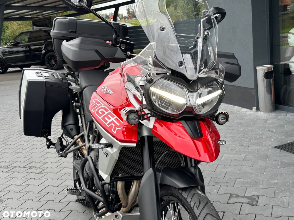 Triumph Tiger - 24