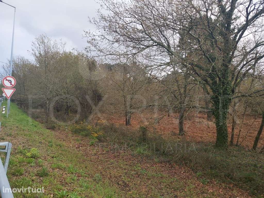 Lote Terreno Construção - Industrial - Mazarefes - Grande imagem: 5/9