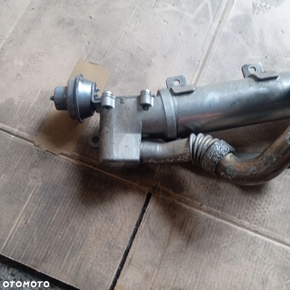 Chłodnicza EGR 03L131512AB - 4