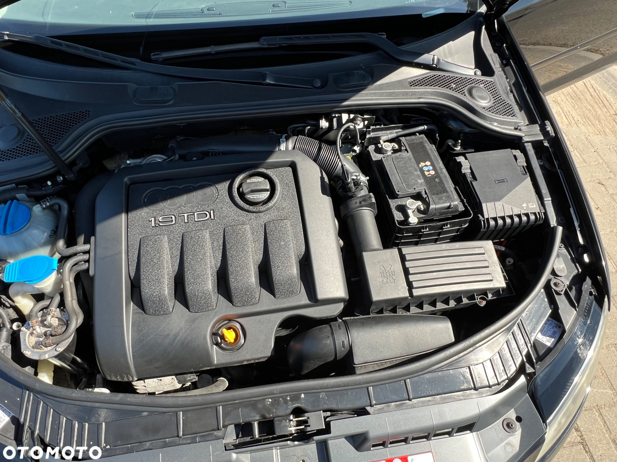 Audi A3 1.9 TDI Attraction - 20