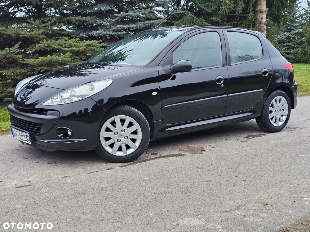 Peugeot 206 plus - 28