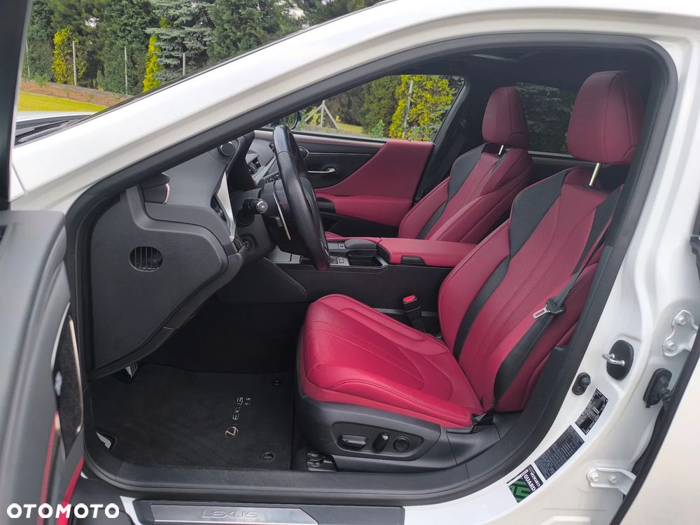 Lexus ES 300h F Sport Edition - 16