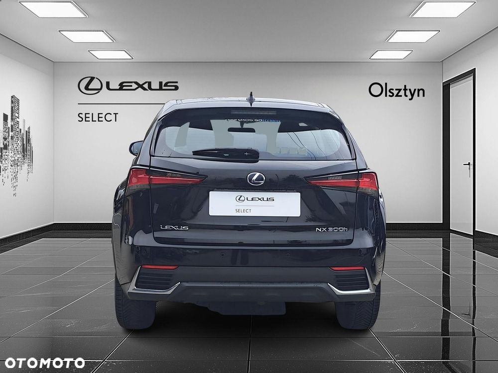 Lexus NX 300h Elegance 2WD - 6