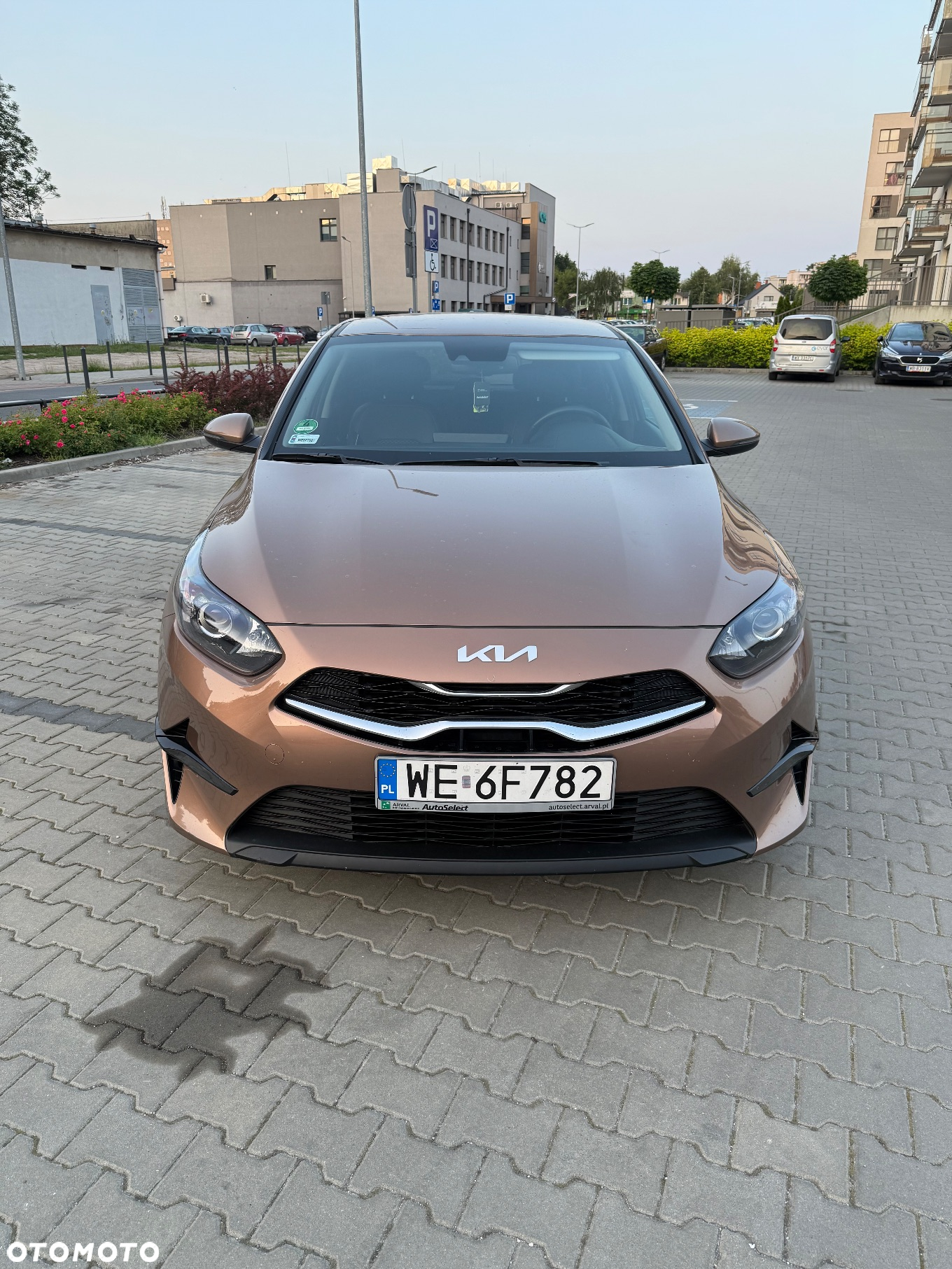 Kia Ceed 1.5 T-GDI Business Line Plus - 2