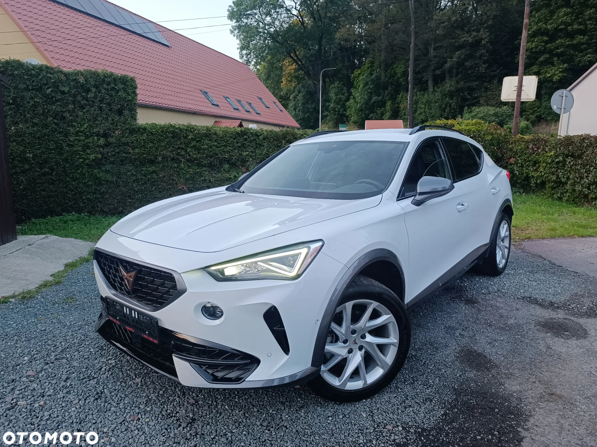 Cupra Formentor 1.5 TSI DSG - 19