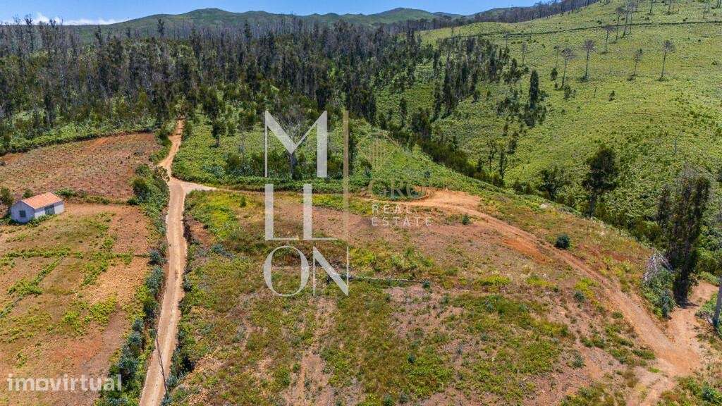 Terreno com Vista Mar e Potencial de Construção — Corujeira, Ponta do - Grande imagem: 4/24