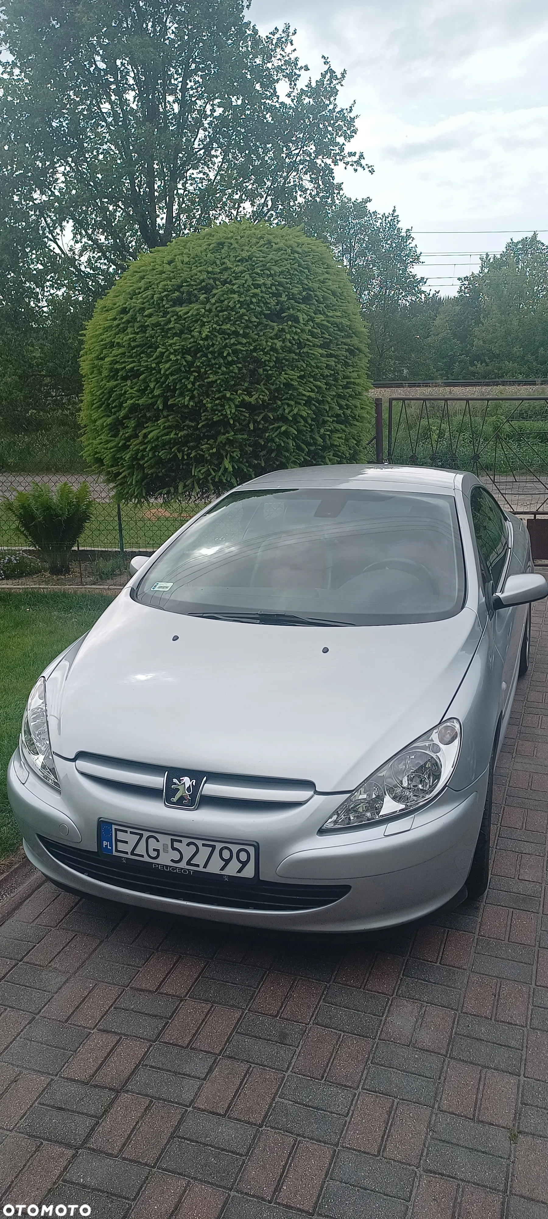 Peugeot 307 - 14