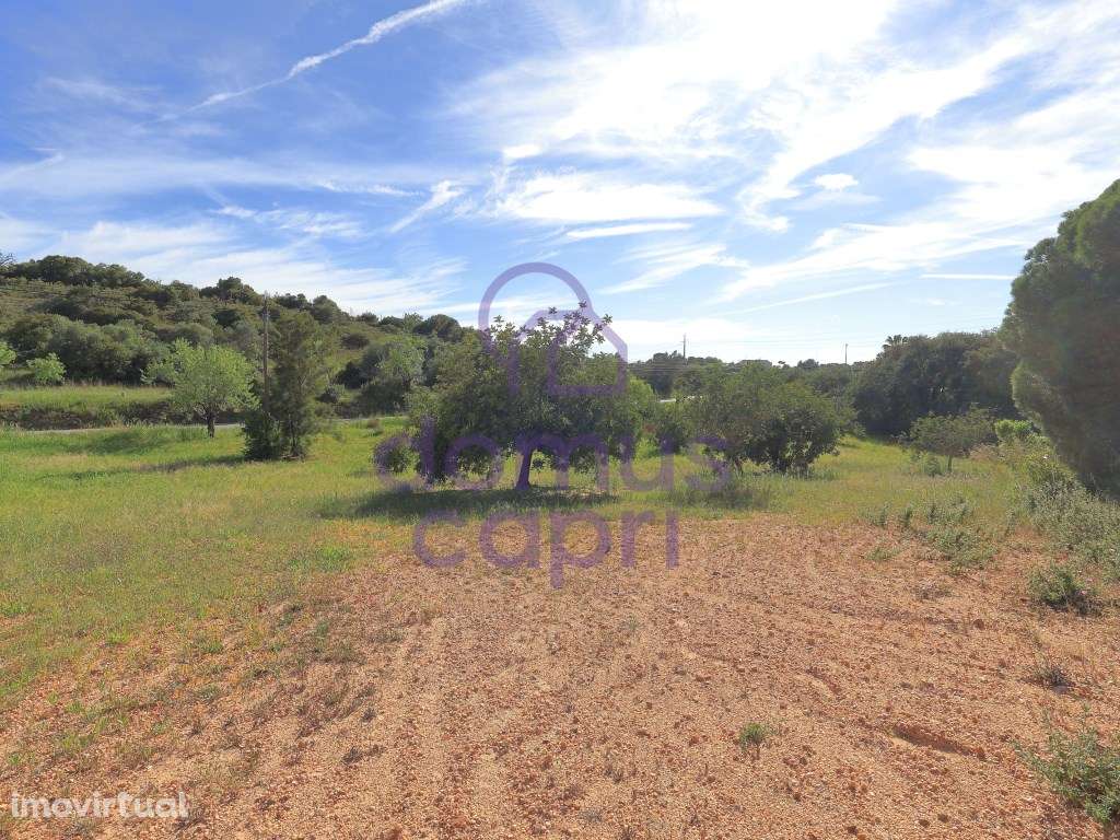 Terreno Urbanizável em Quatrim - Moncarapacho - Grande imagem: 2/17