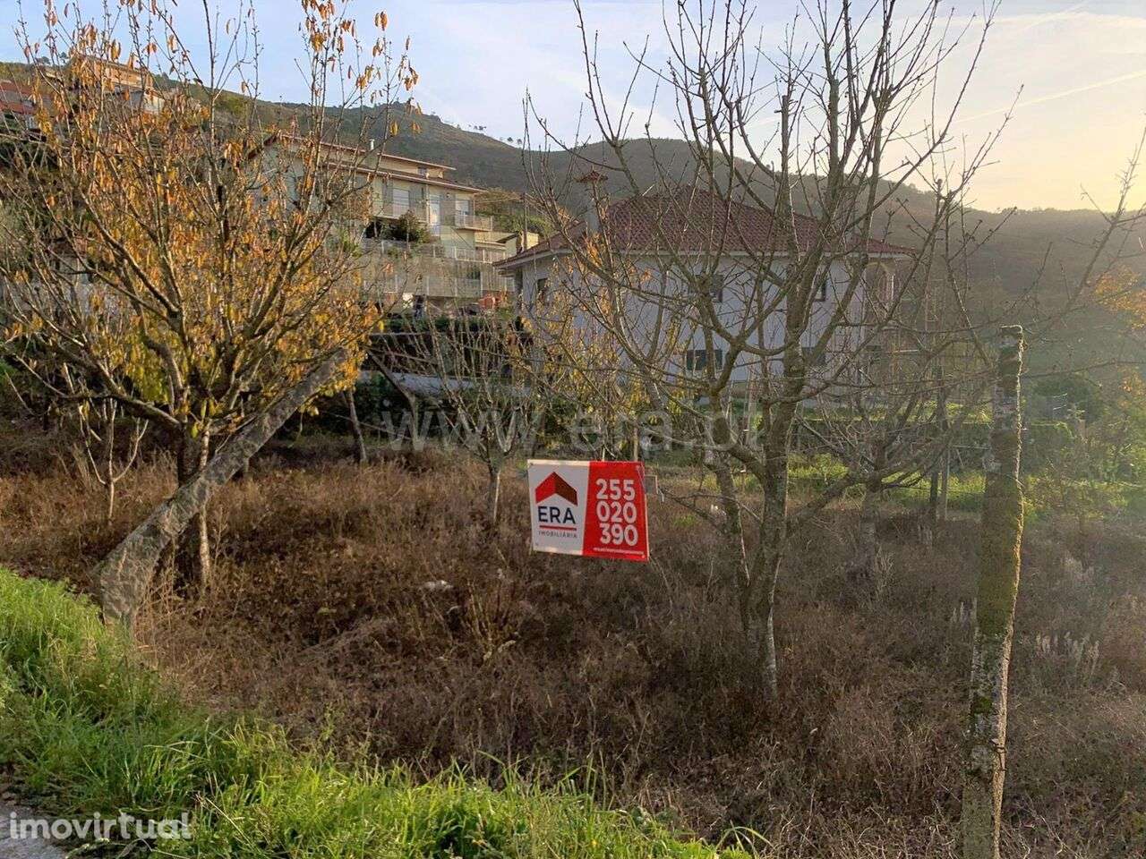 Terreno / Resende, Anreade e São Romão de Aregos - Grande imagem: 4/7