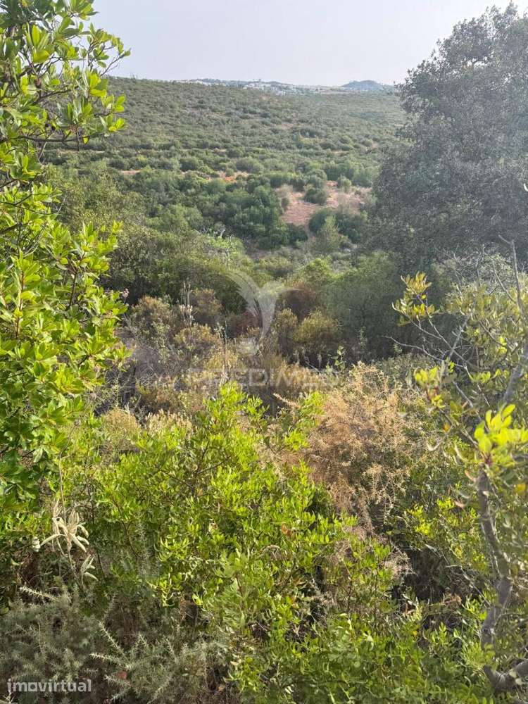 Terreno Rustico Machados São Brás de Alportel - Grande imagem: 2/5