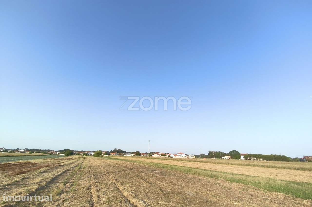 Terreno com 2528 m2 urbanizável - Lombomeão, Vagos - Grande imagem: 5/7