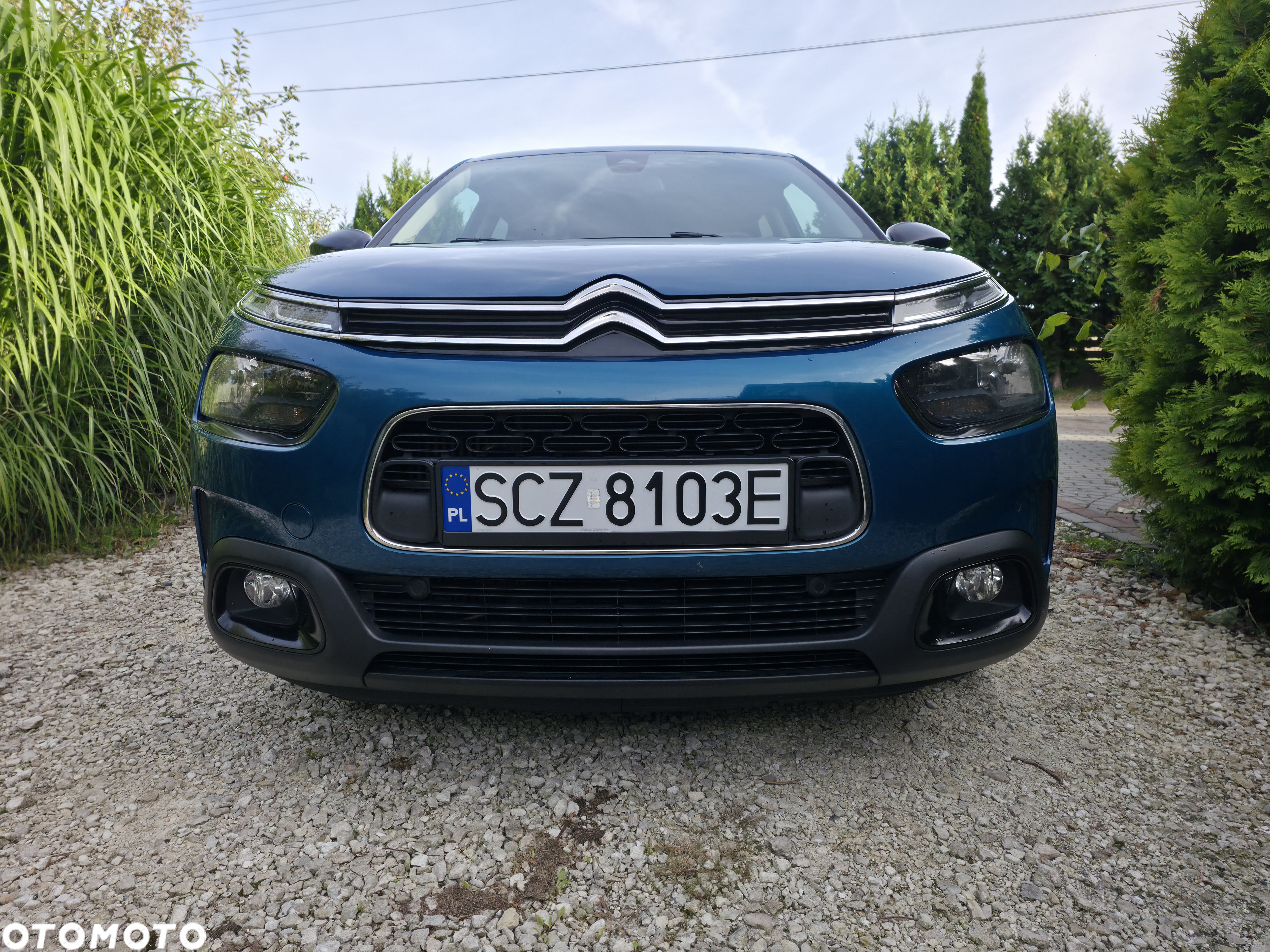Citroën C4 Cactus PureTech 110 Stop&Start EAT6 Shine - 11