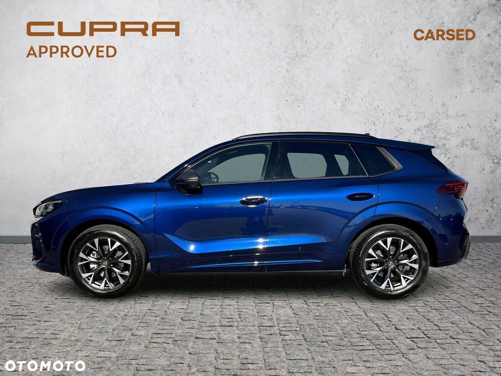 Cupra Terramar - 3