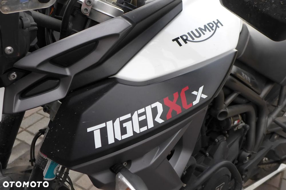 Triumph Tiger - 1