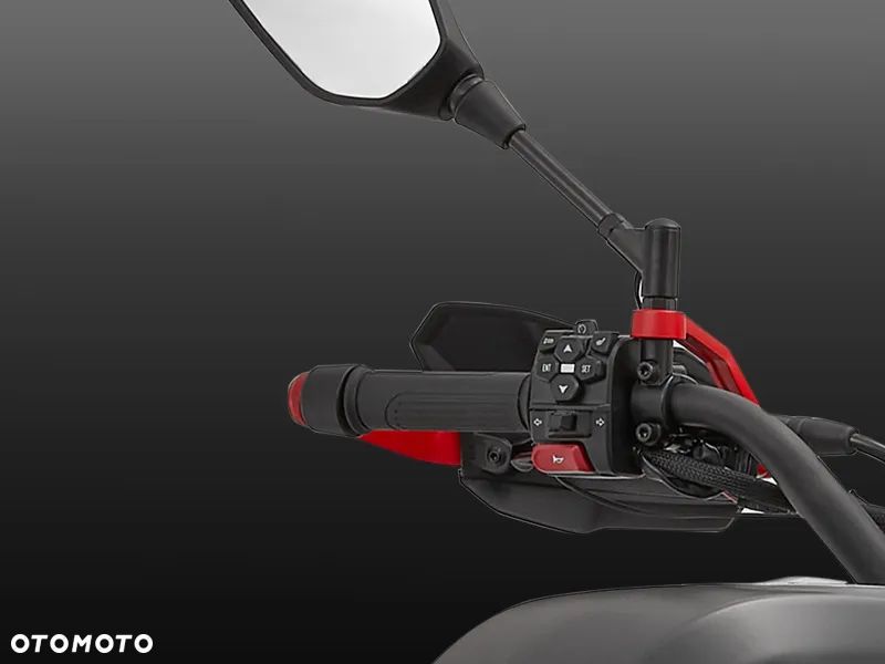 QJMOTOR SRT900SX - 12