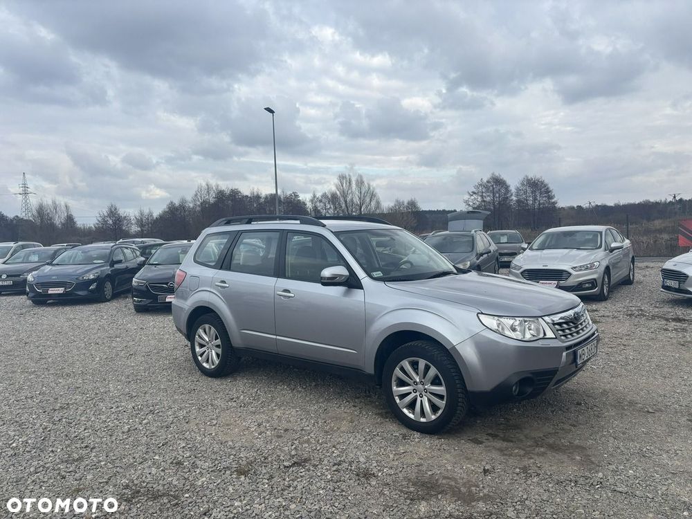 Subaru Forester - 14