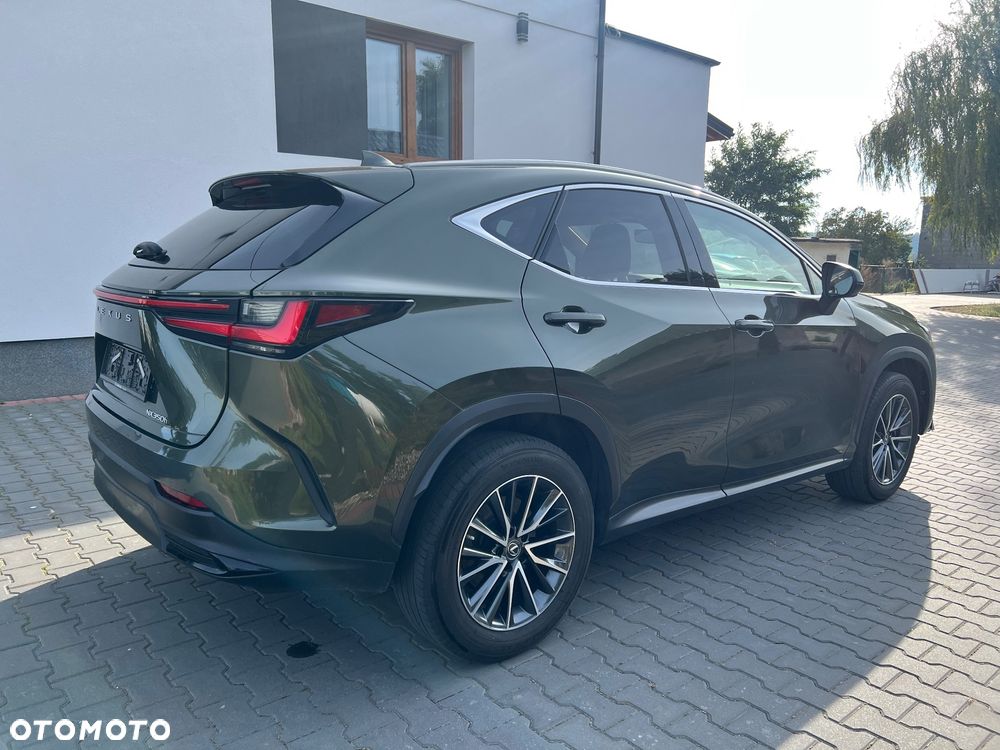 Lexus NX 350h Omotenashi AWD - 7