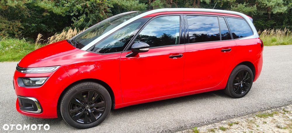 Citroën C4 SpaceTourer 1.5 BlueHDi More Life S&S EAT8 - 10