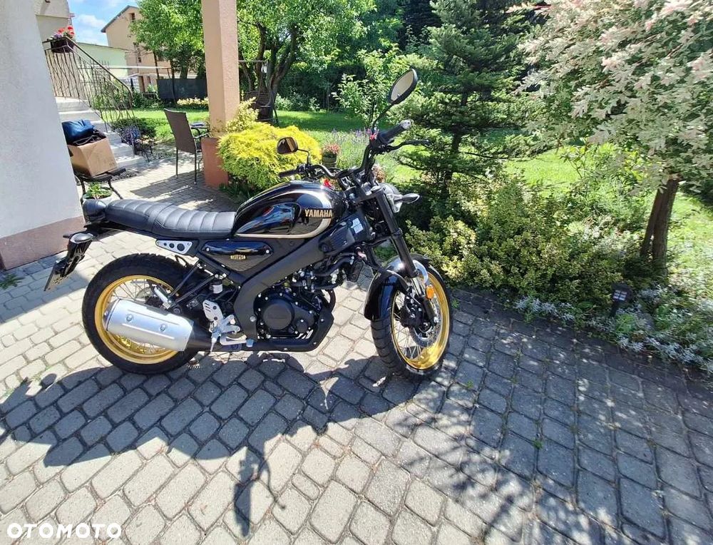 Yamaha XSR - 6