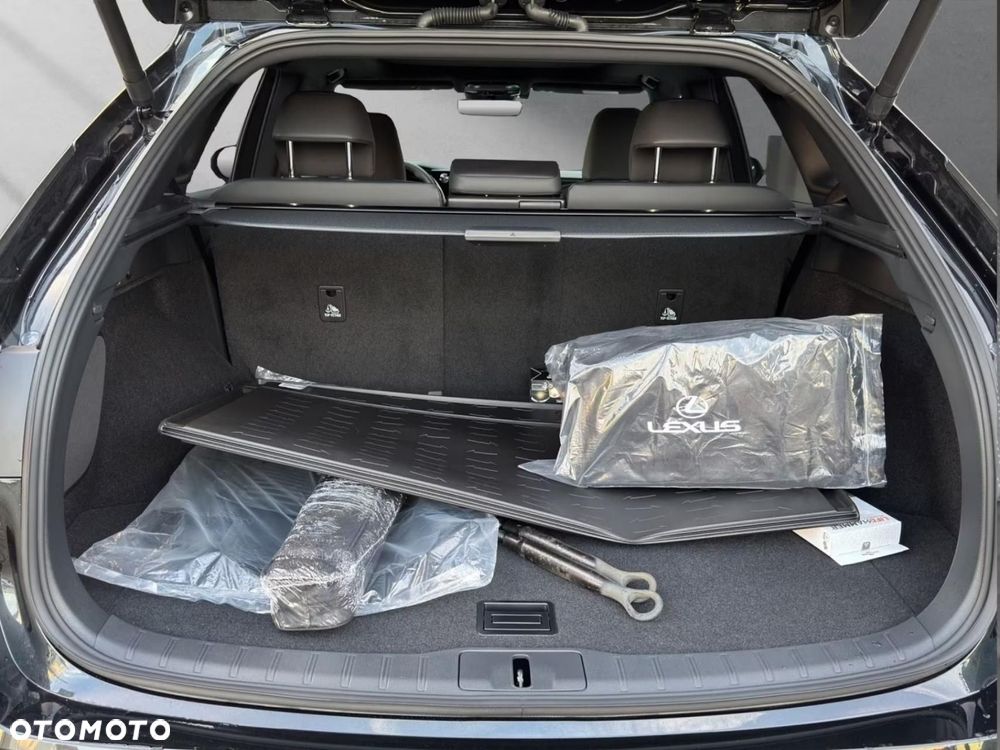 Lexus RX - 18