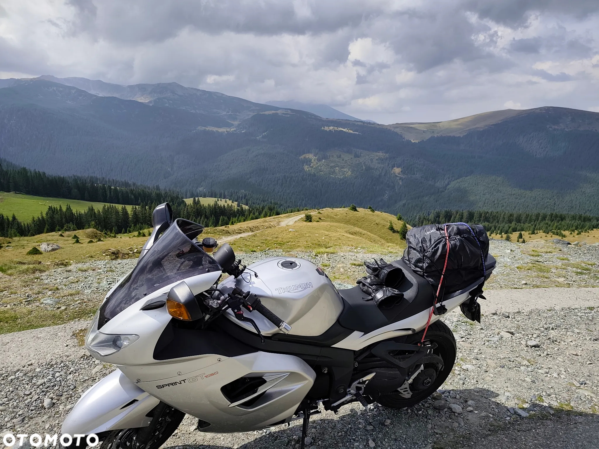 Triumph Sprint - 12