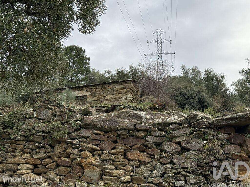 Quinta em Vila Seca e Santo Adrião - Grande imagem: 3/24