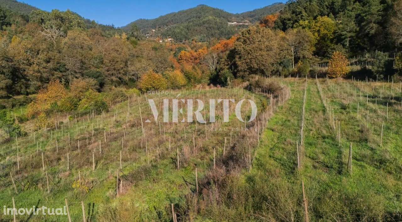 Venda Terreno - Grande imagem: 4/5