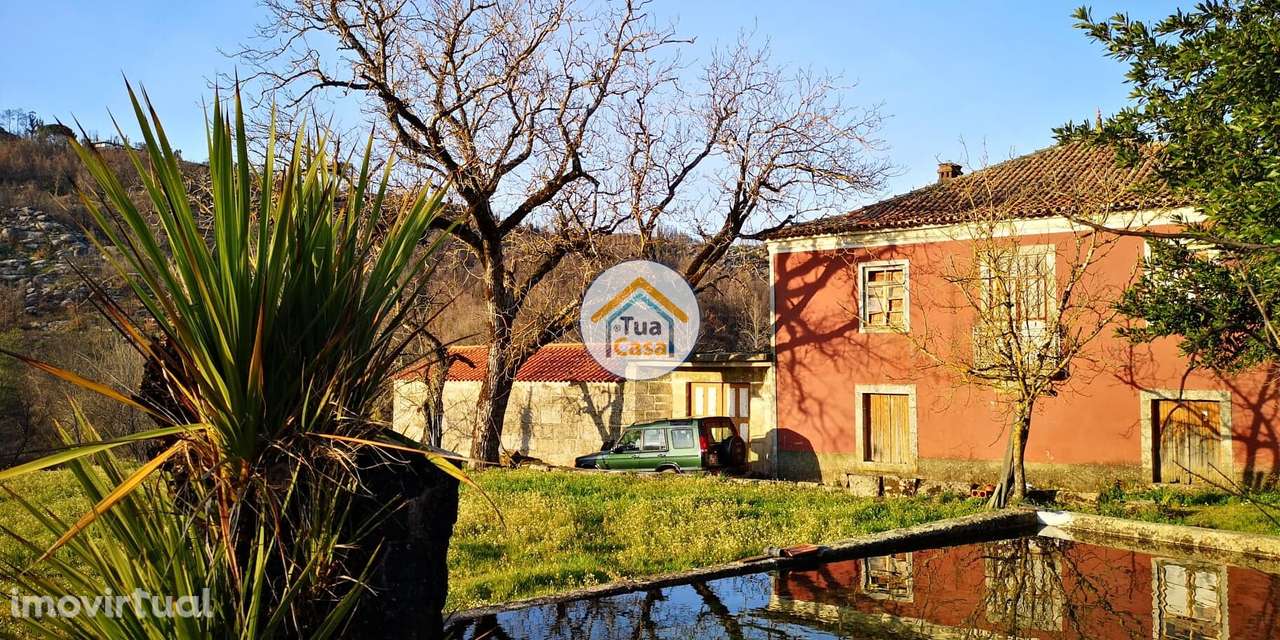 Quinta T5 Senhorial no Rio Dão - Grande imagem: 2/29