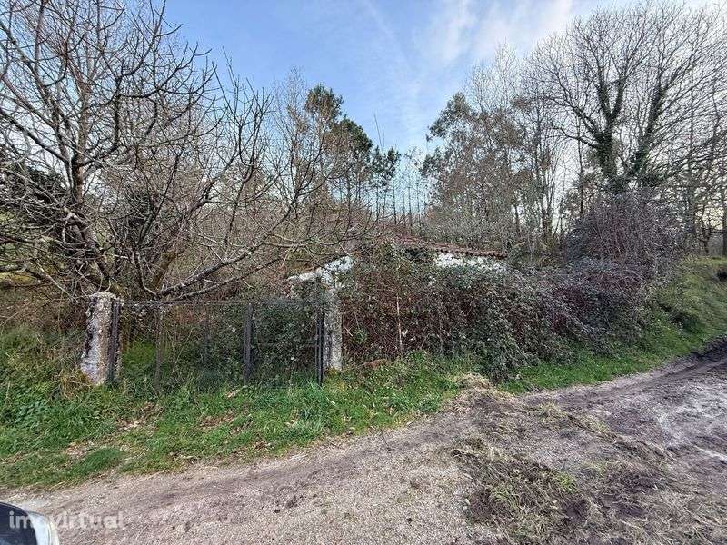 Moradia T1 Excelente Potencial - Grande imagem: 3/5