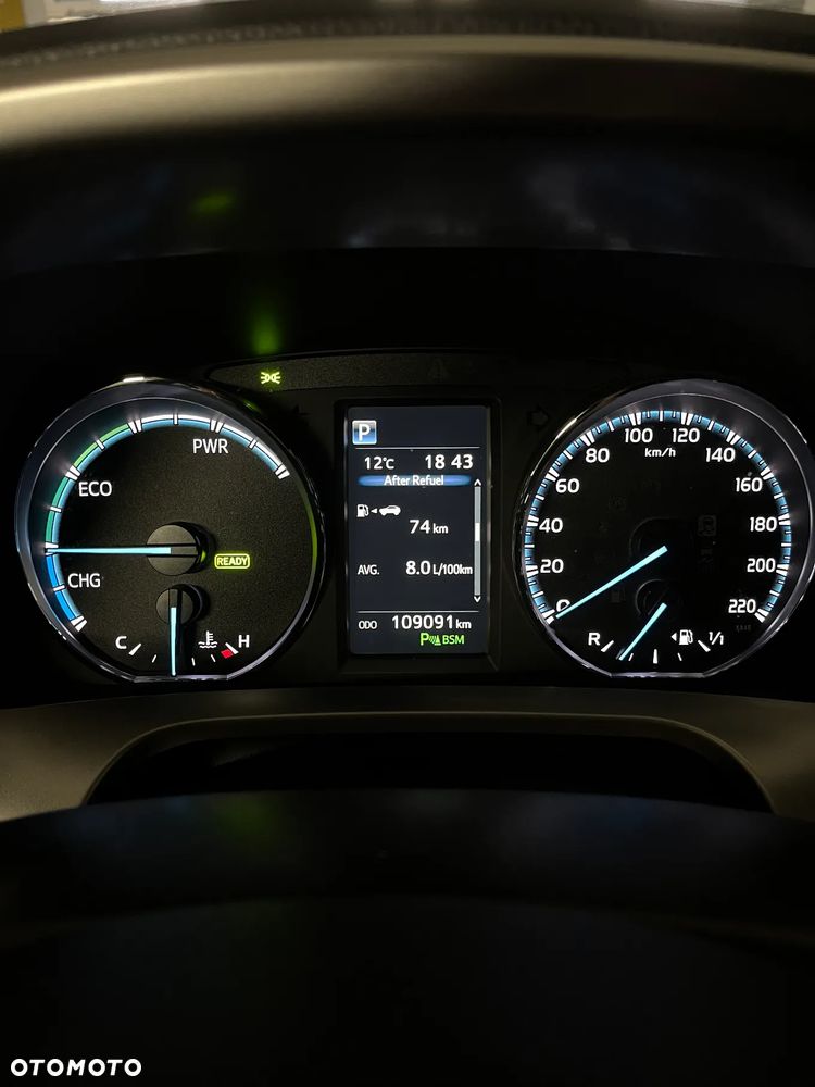 Toyota RAV4 Hybrid Prestige 4x2 - 14