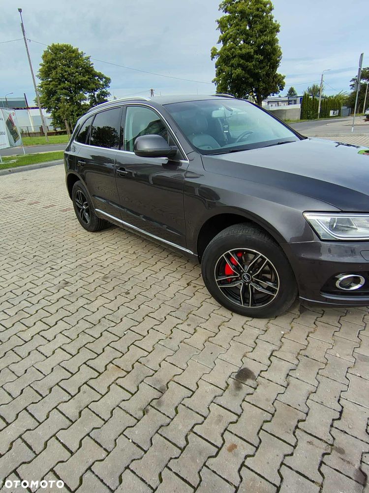 Audi Q5 - 20