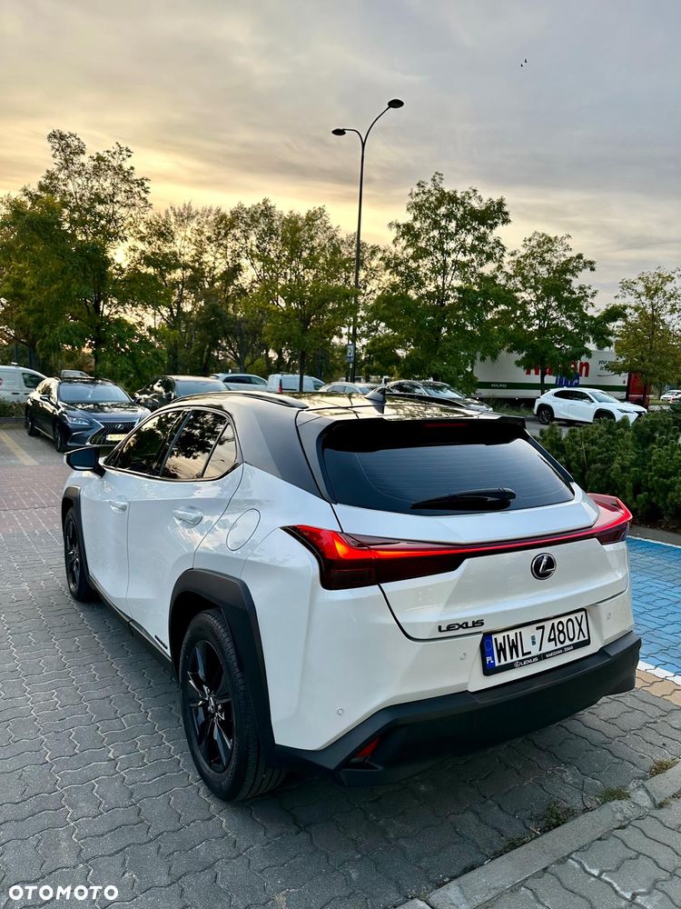 Lexus UX 250h - 31
