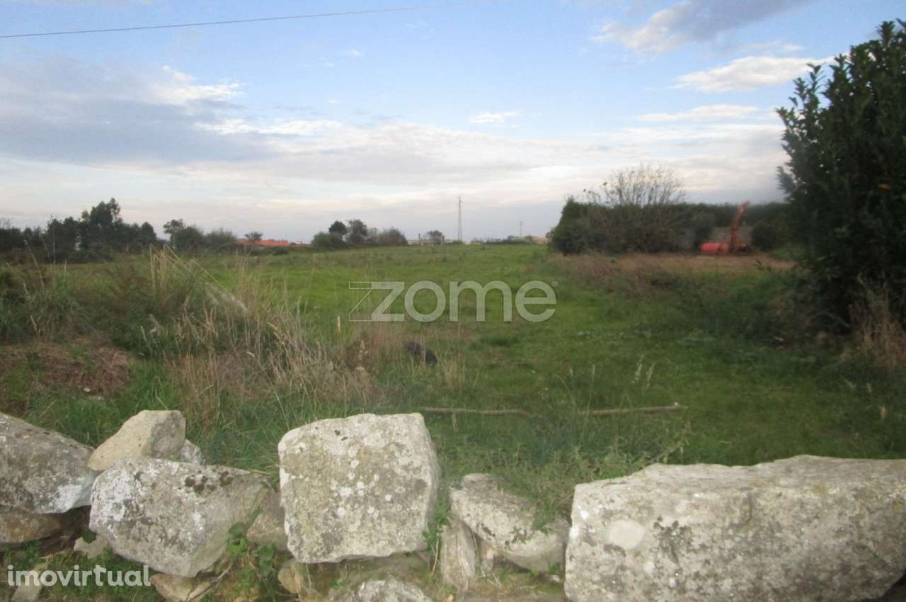 Terreno Misto com 18480 m2 em Lavra, Matosinhos- Porto - Grande imagem: 4/15