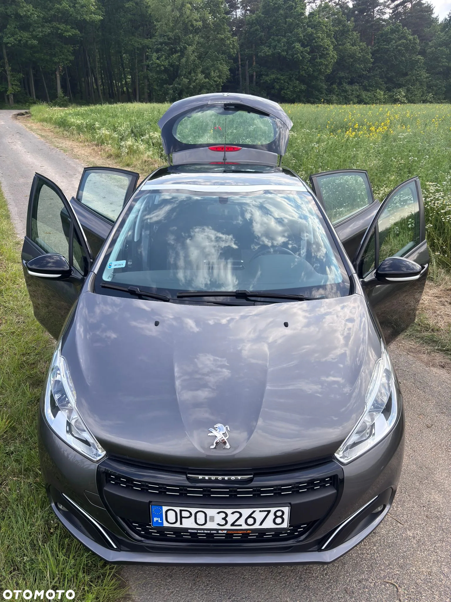 Peugeot 208 - 4