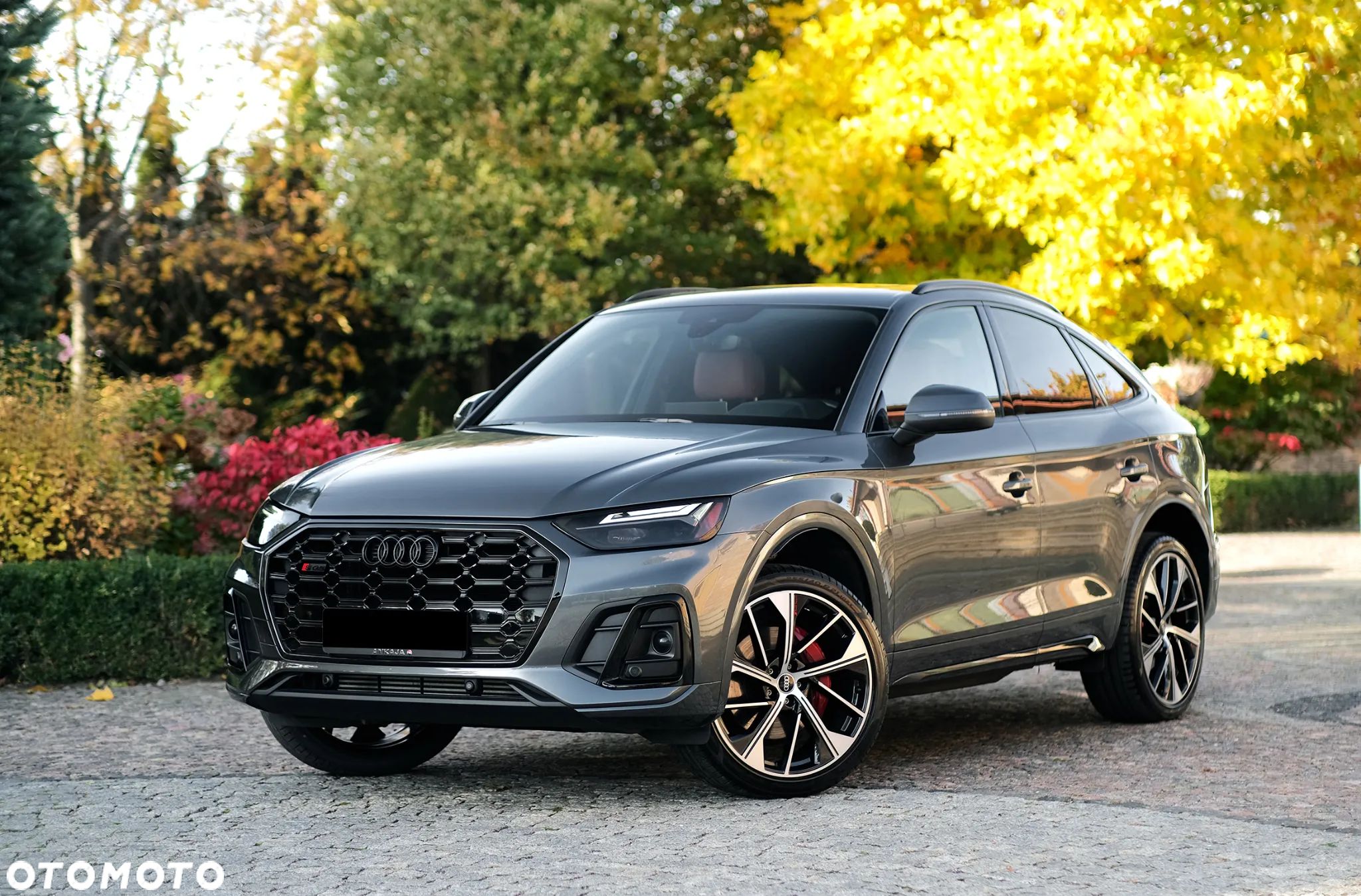 Audi SQ5 3.0 TFSI quattro tiptronic - 1