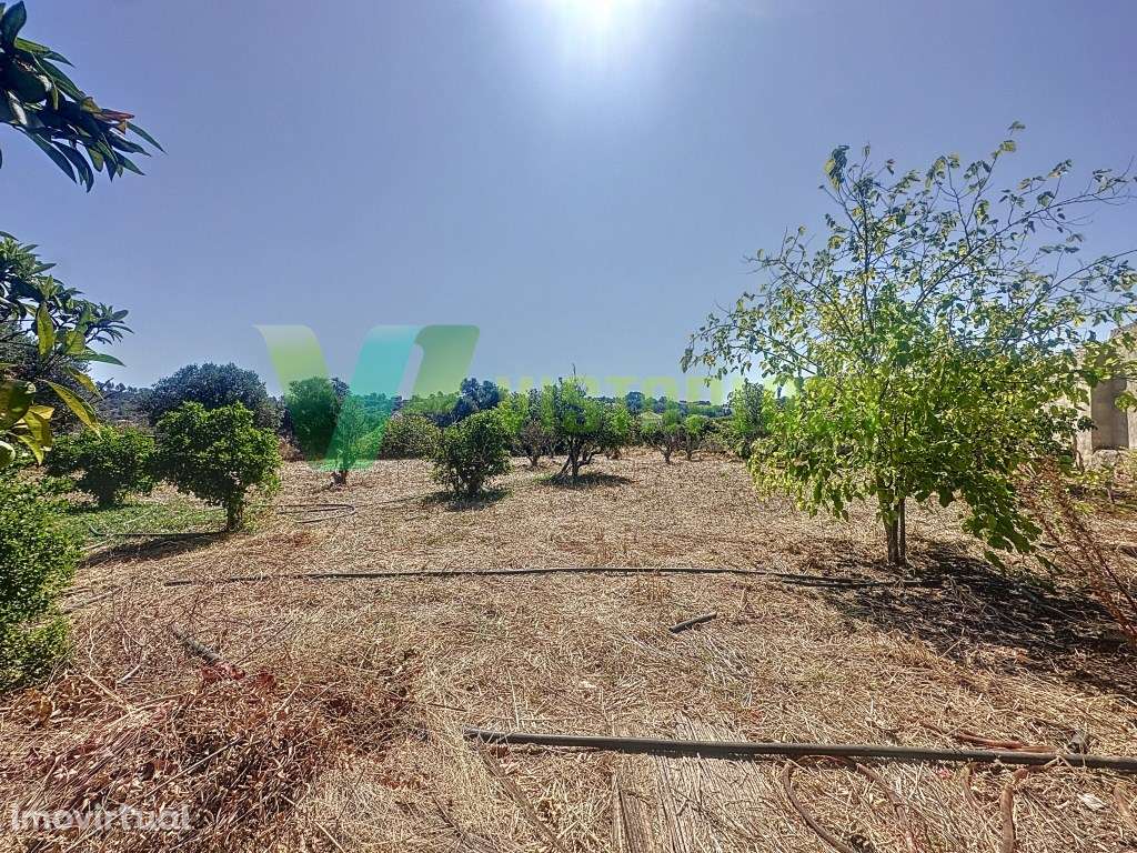 Casa M4 Isolada em Messines - Amorosa, Com Garagem - Grande imagem: 2/30