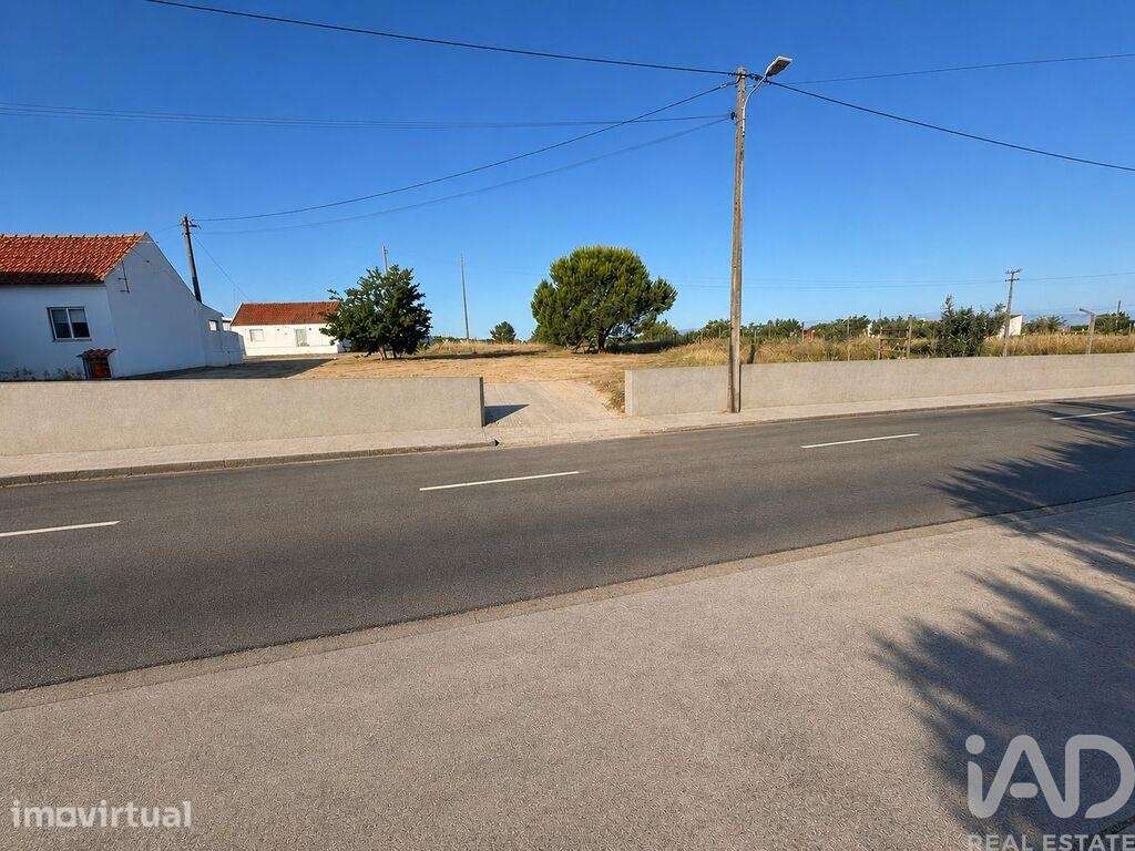 Terreno Agrícola em Almeirim - Grande imagem: 3/5