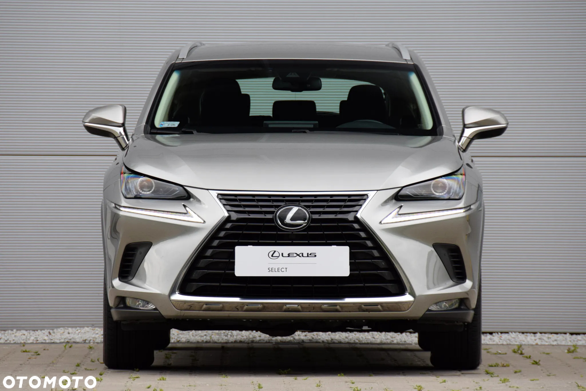 Lexus NX 300 Elegance Optimum AWD - 17