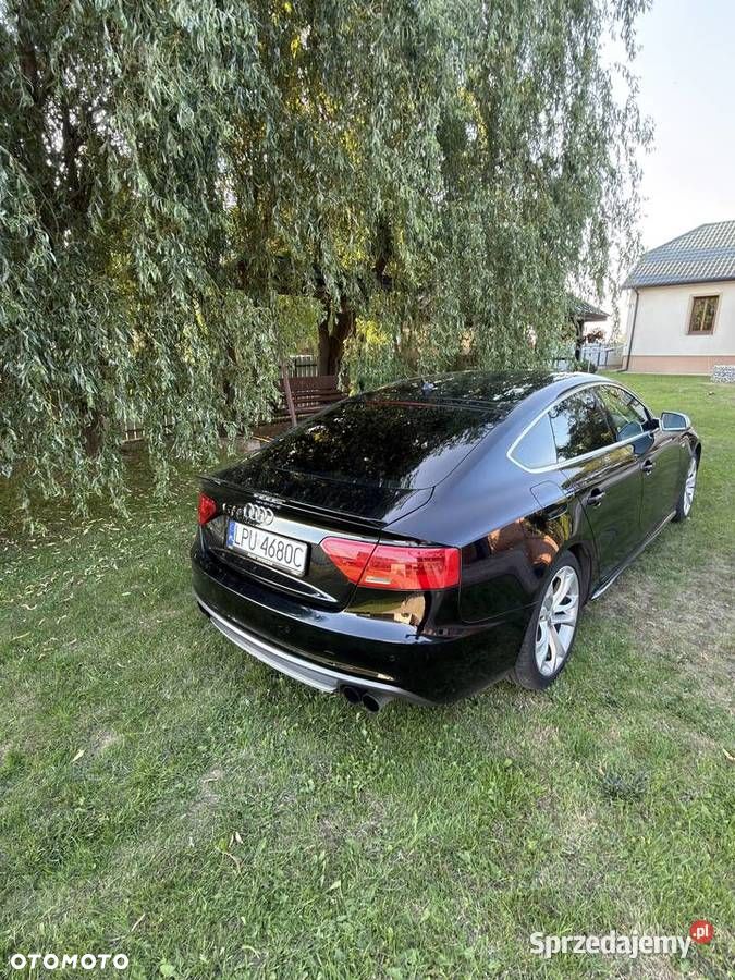 Audi A5 Sportback 3.0 TDI quattro DPF S tronic - 3