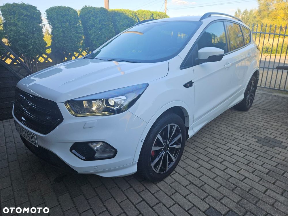 Ford Kuga 2019 photo 2