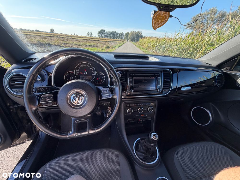 Volkswagen Beetle - 10