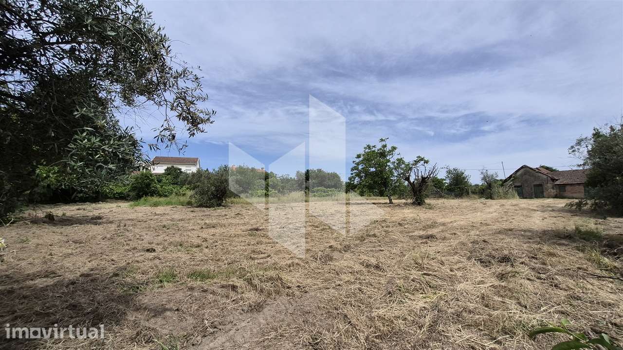 Terreno Para Construção  Venda em Tondela e Nandufe,Tondela - Grande imagem: 3/9