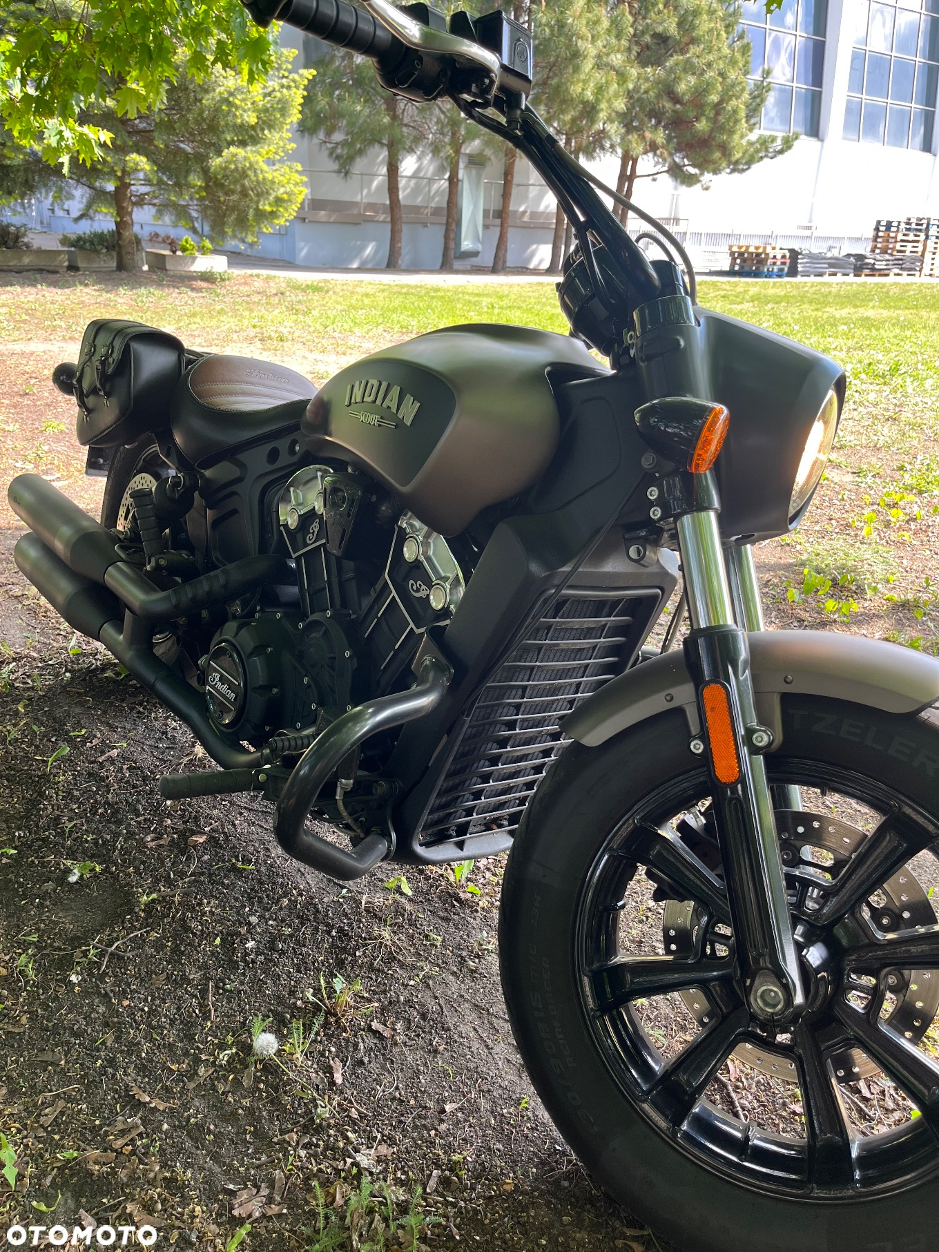 Indian Scout - 11