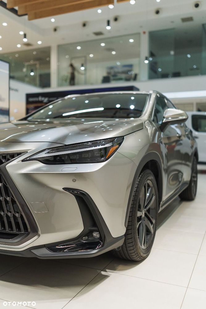 Lexus NX - 14