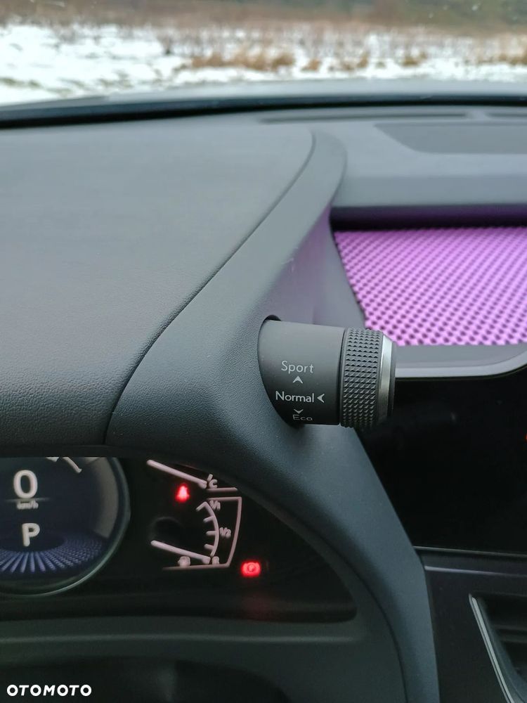 Lexus UX 250h GPF Business Edition 2WD - 28