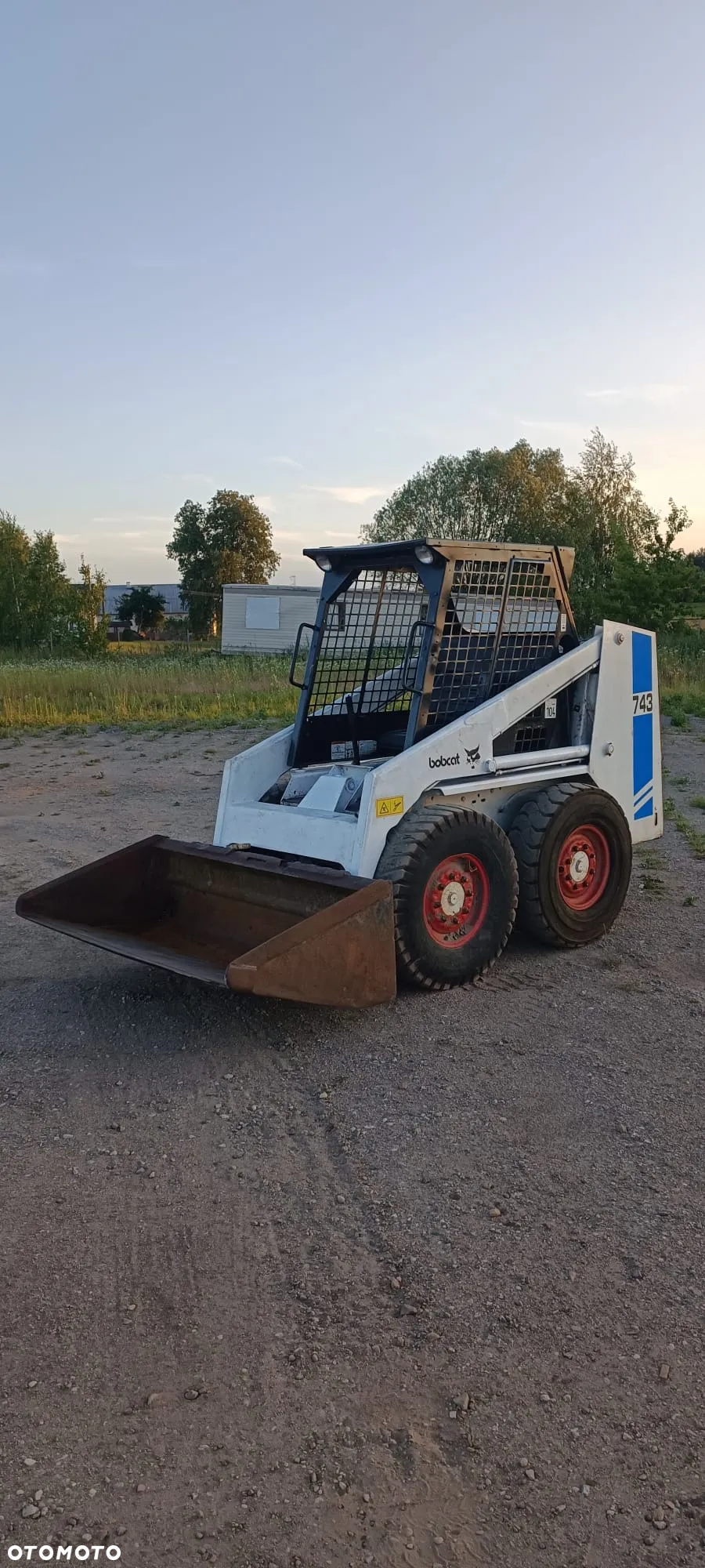Bobcat - 12