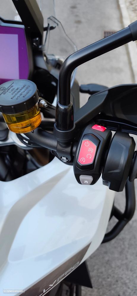 Triumph Tiger Rally Pro - 11